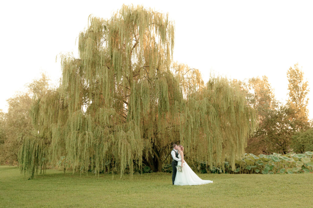 Sposi in provincia di Padova sul giardino della villa al tramonto